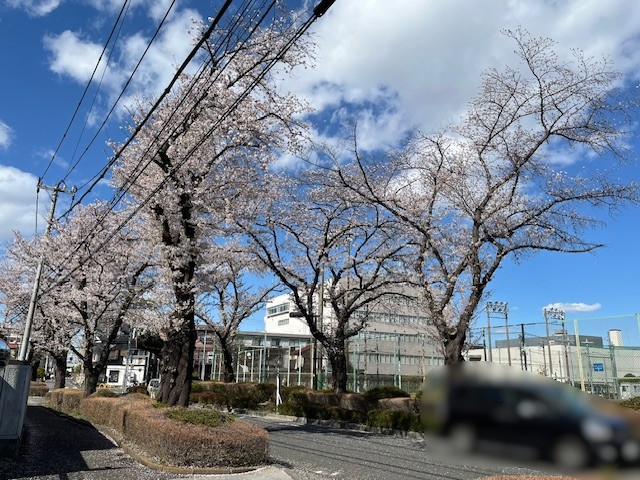 undefined - 2026-04-02T150301.561